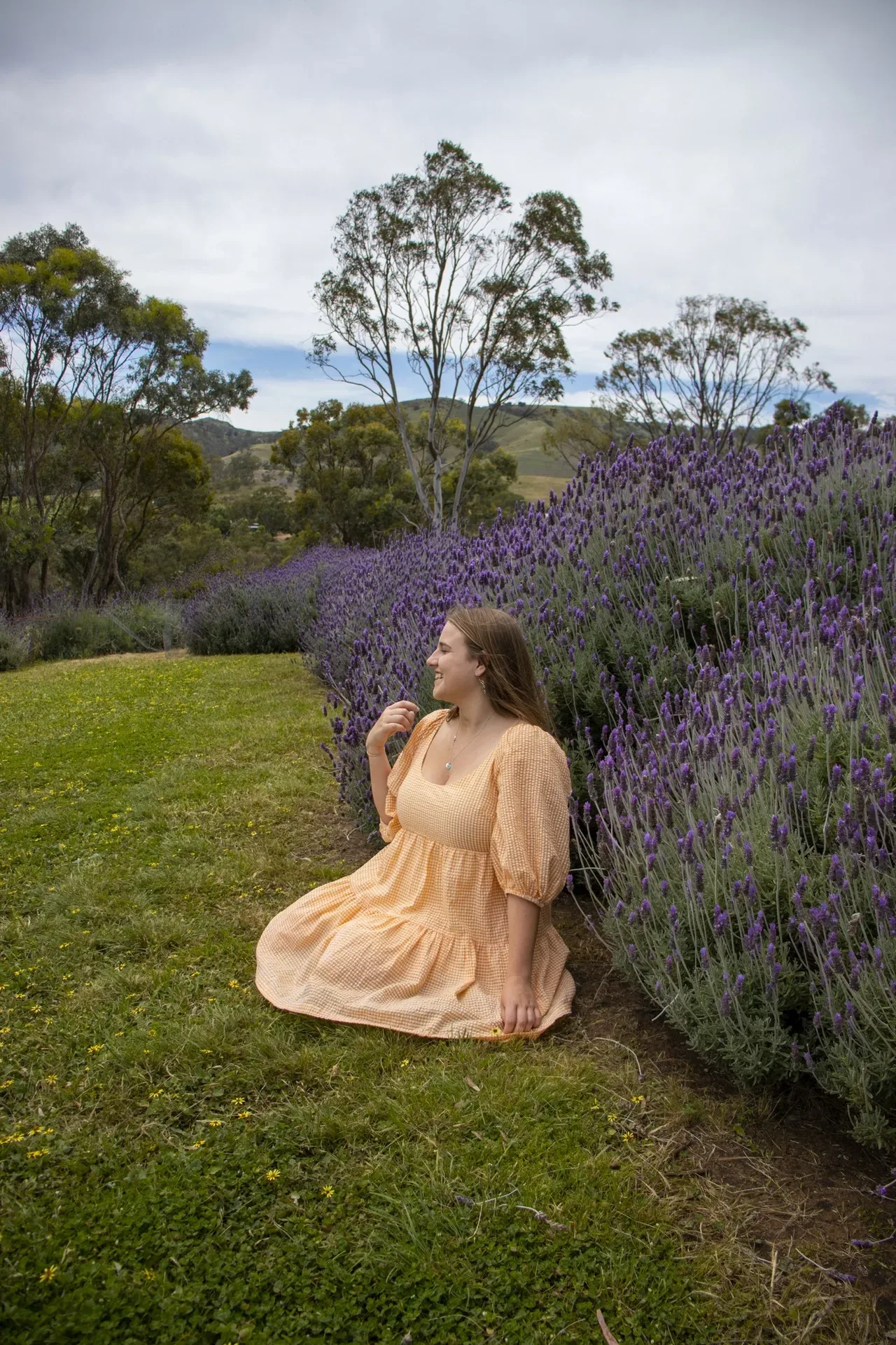 Lavender farm near adelaide
